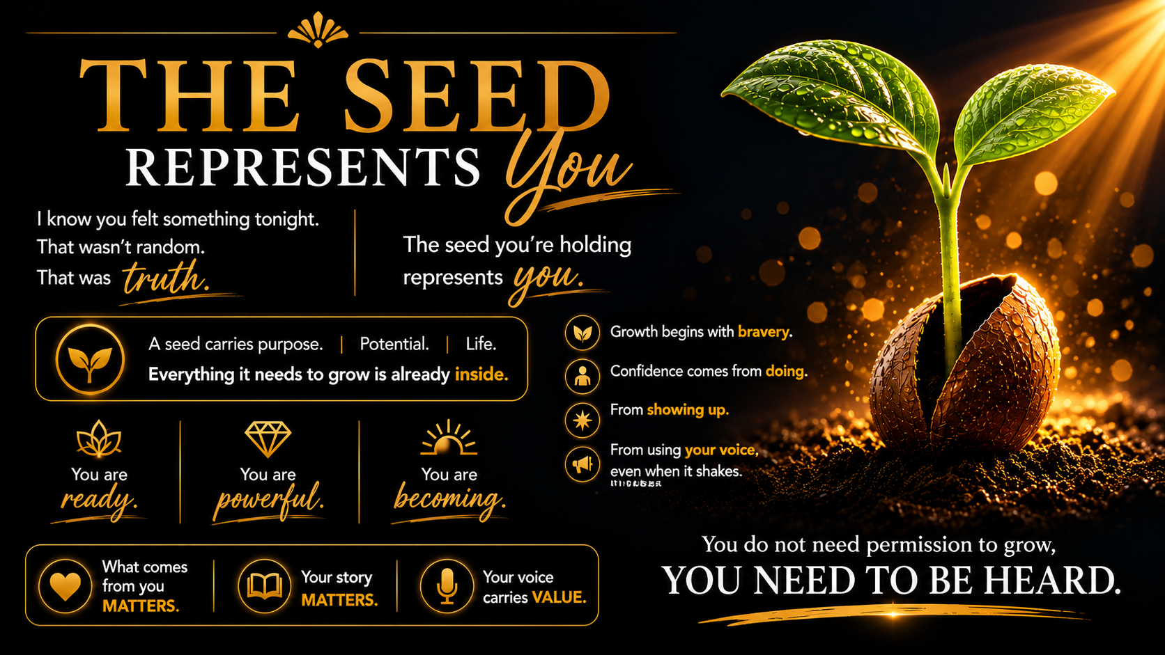 The Seed Experience™<br />
this image shows a seed breaking out of its shell and words explaining what the experience is.<br />
